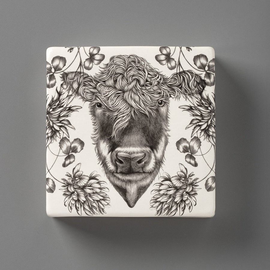 Hereford Cow | Wall Box