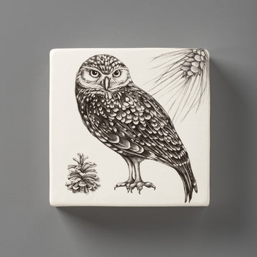 Burrowing Owl | Wall Box