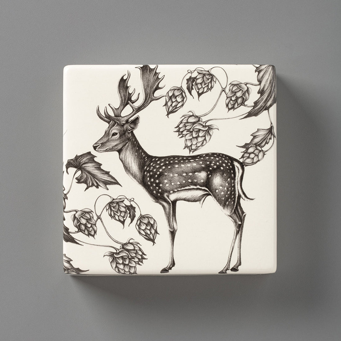 Fallow Buck | Wall Box