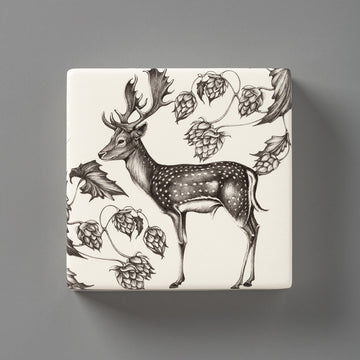 Fallow Buck | Wall Box