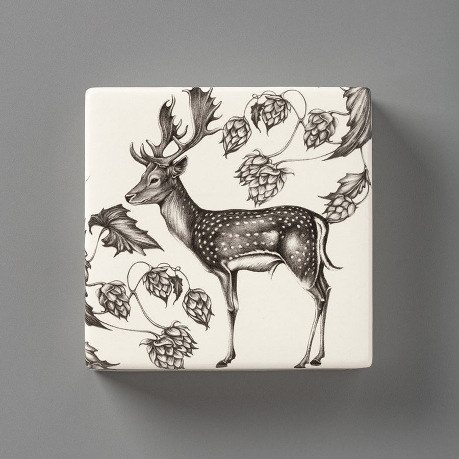 Fallow Buck | Wall Box