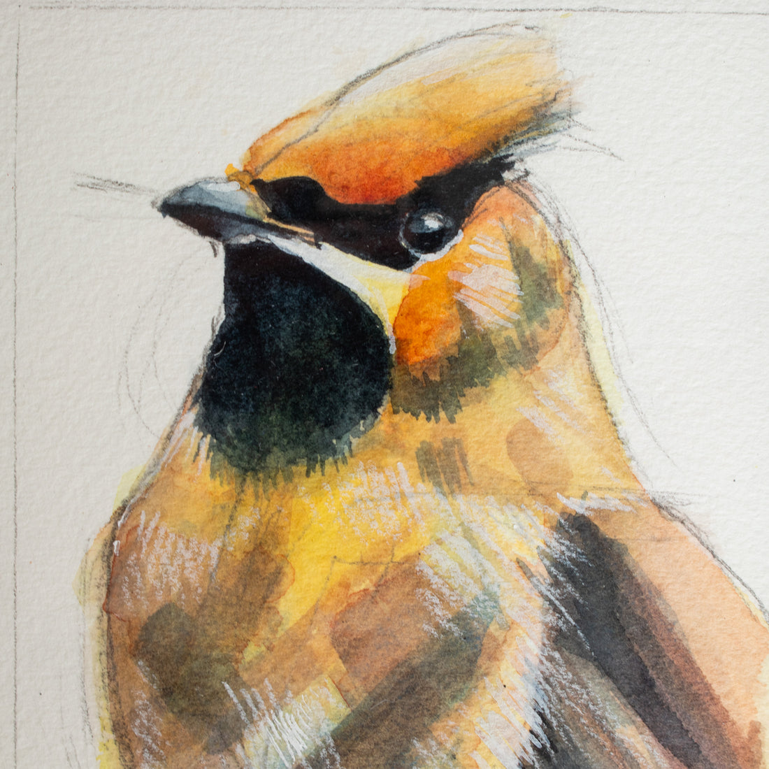 Cedar Waxwing no.2 | 7x9