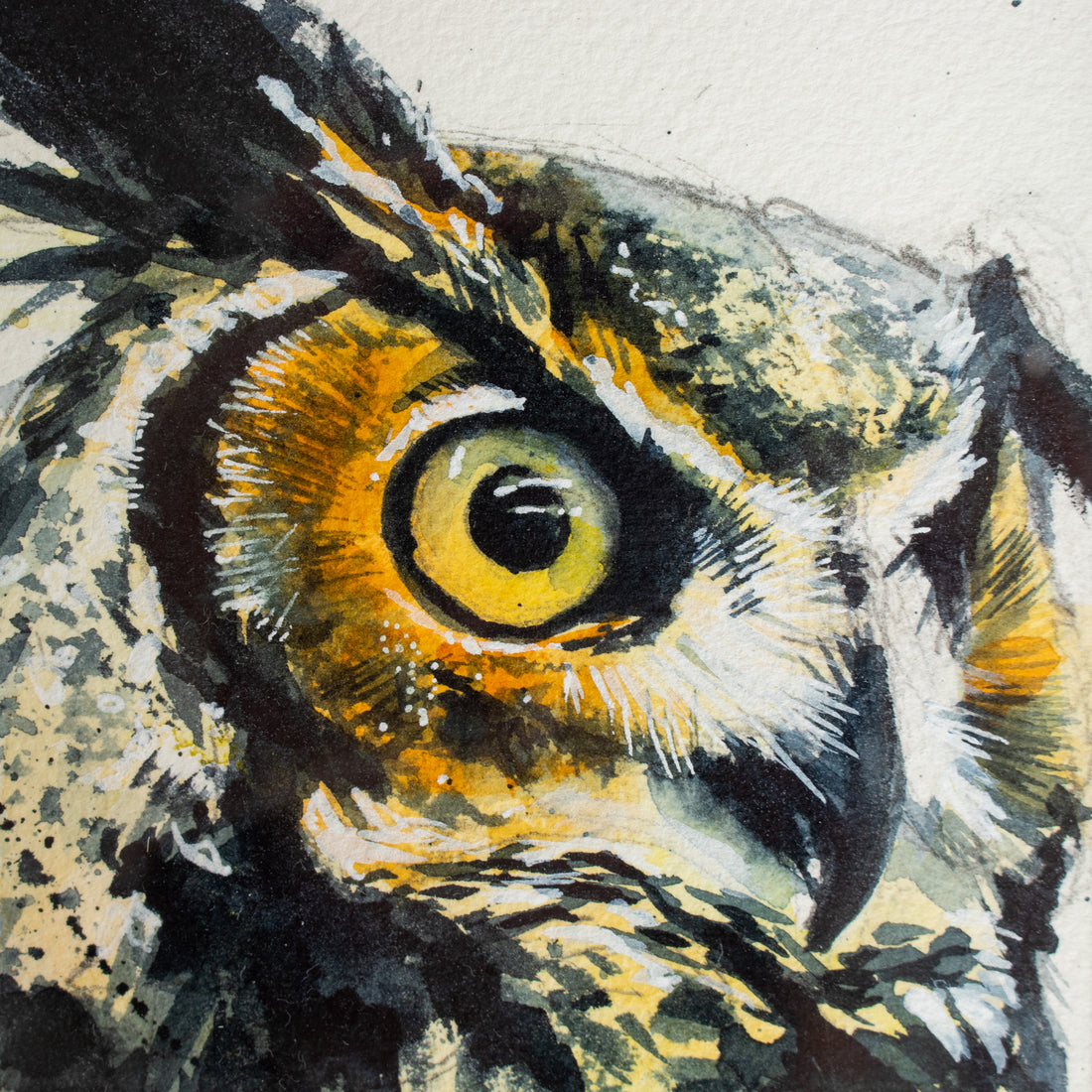 Great Horned Owl no.11 | 7x9