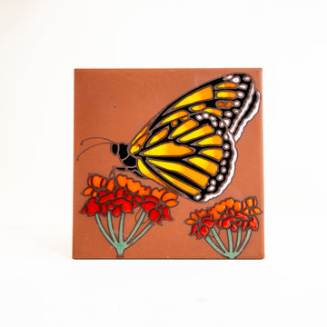 6x6 Monarch Milkweed - Terra Cotta