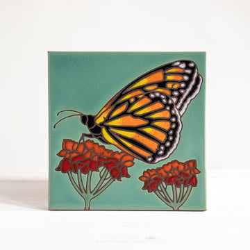 6x6 Monarch Milkweed - Green