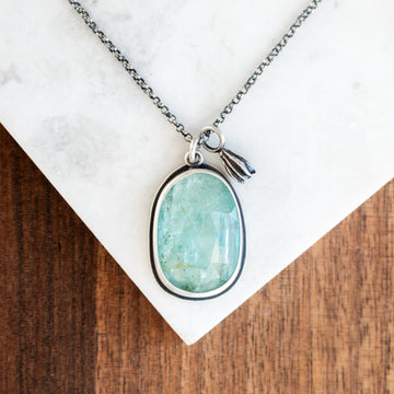 Kyanite with Pod Necklace