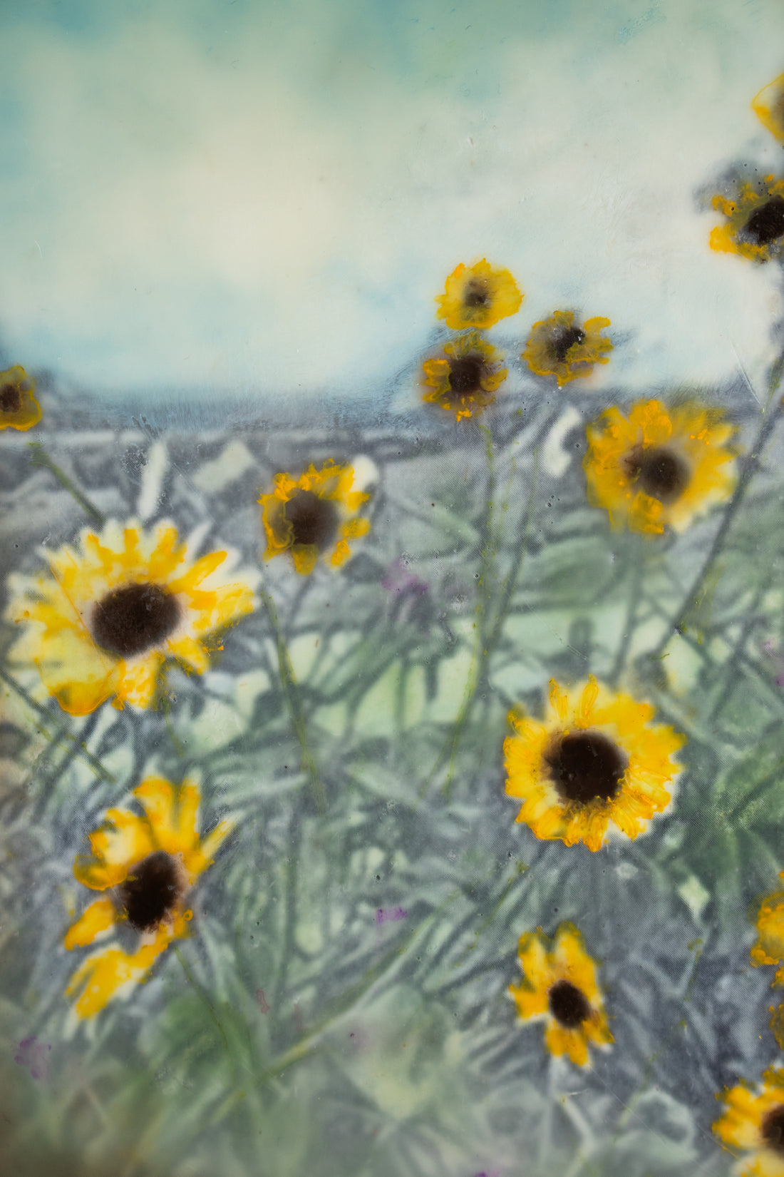 Wildflowers | 6x8 Encaustic