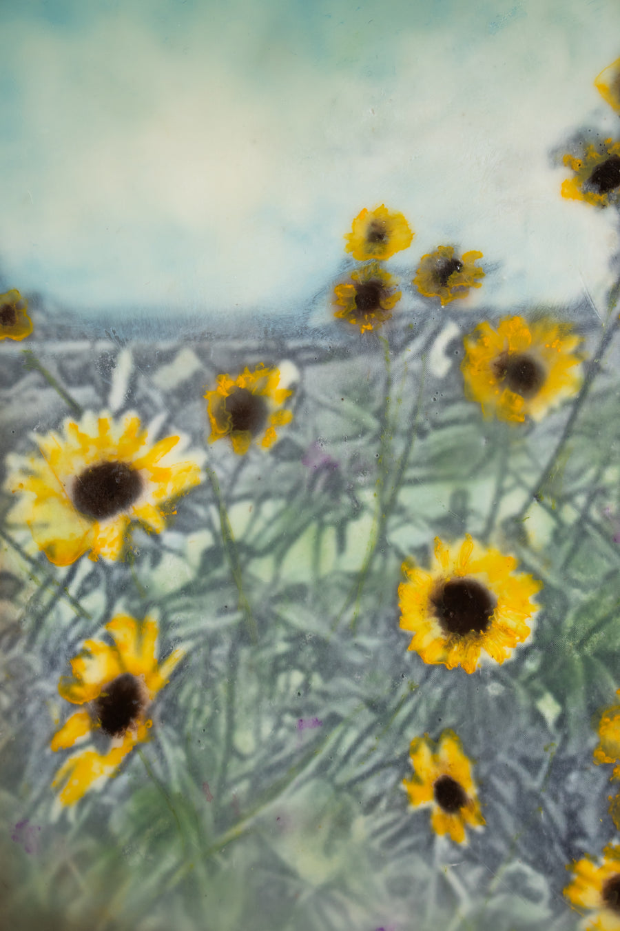 Wildflowers | 6x8 Encaustic
