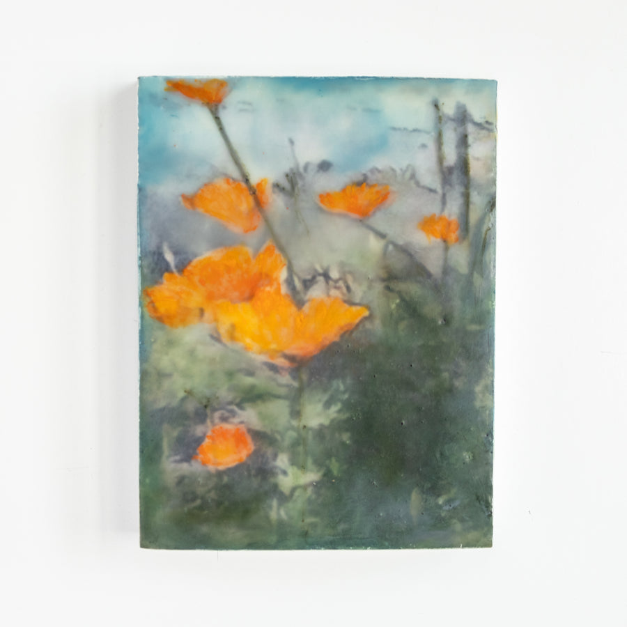 Poppies Orange | 6x8 Encaustic