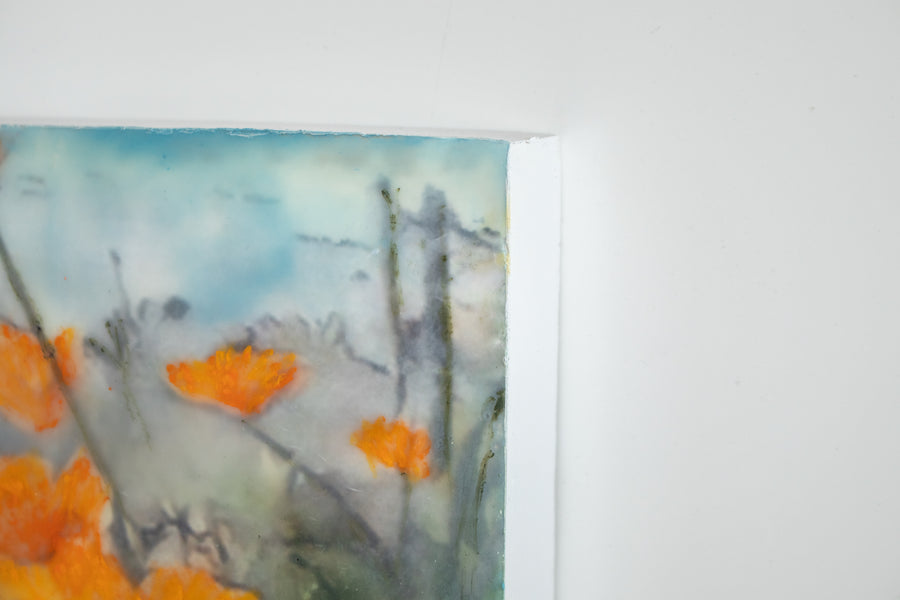 Poppies Orange | 6x8 Encaustic