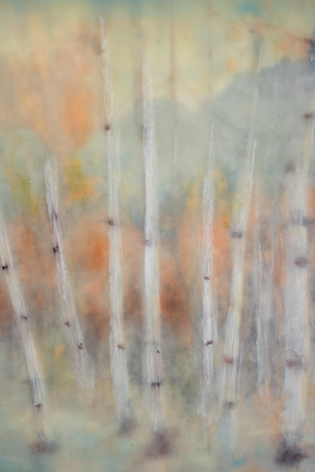 Birch Trees | 6x8 Encaustic