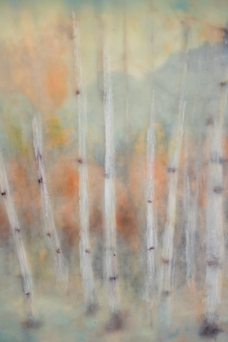Birch Trees | 6x8 Encaustic