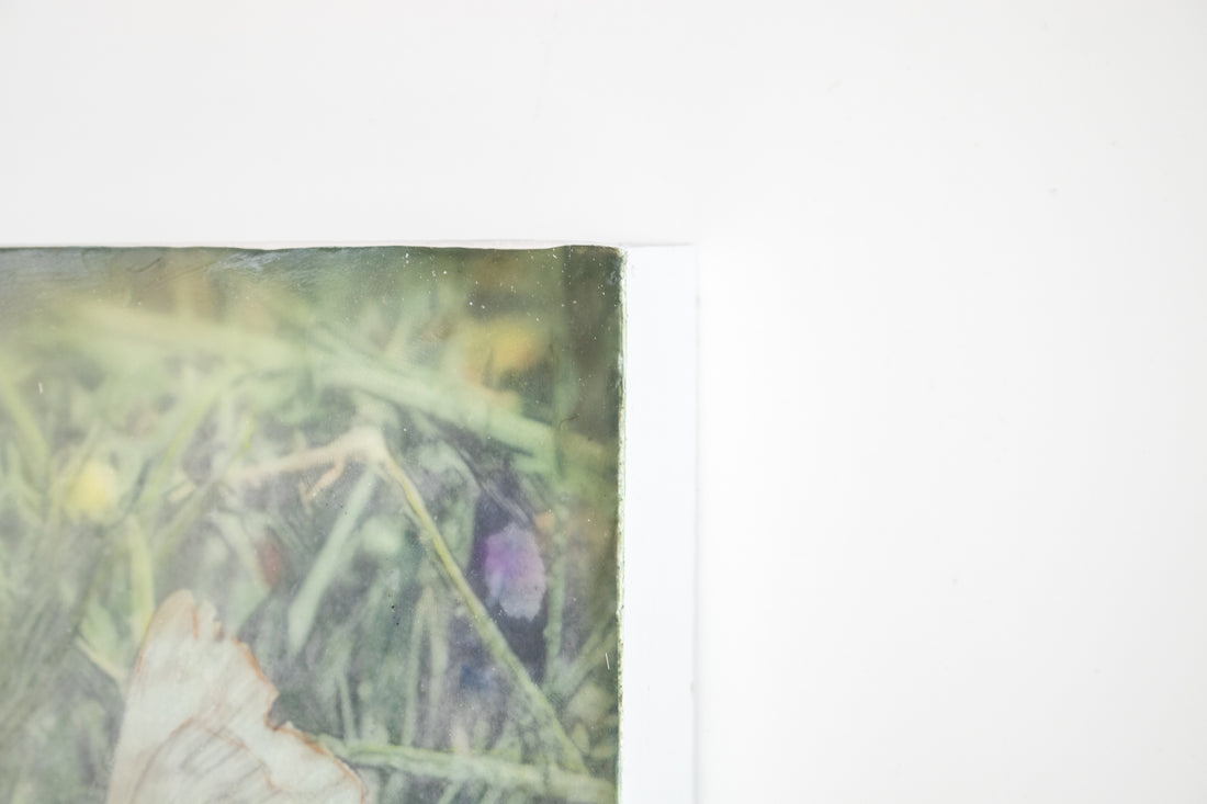 Wildflower Butterfly | 6x8 Encaustic