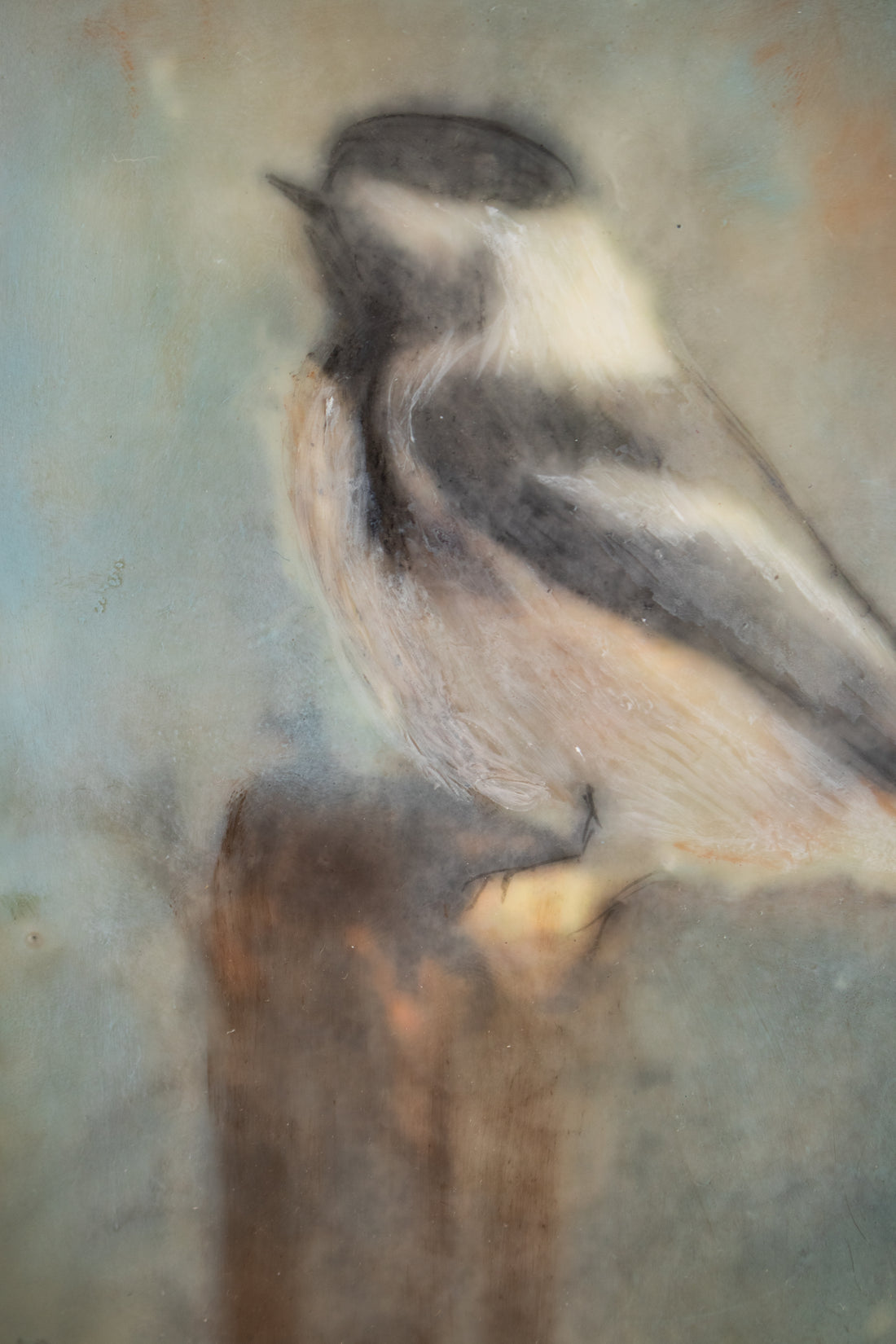 Chickadee | 6x8 Encaustic