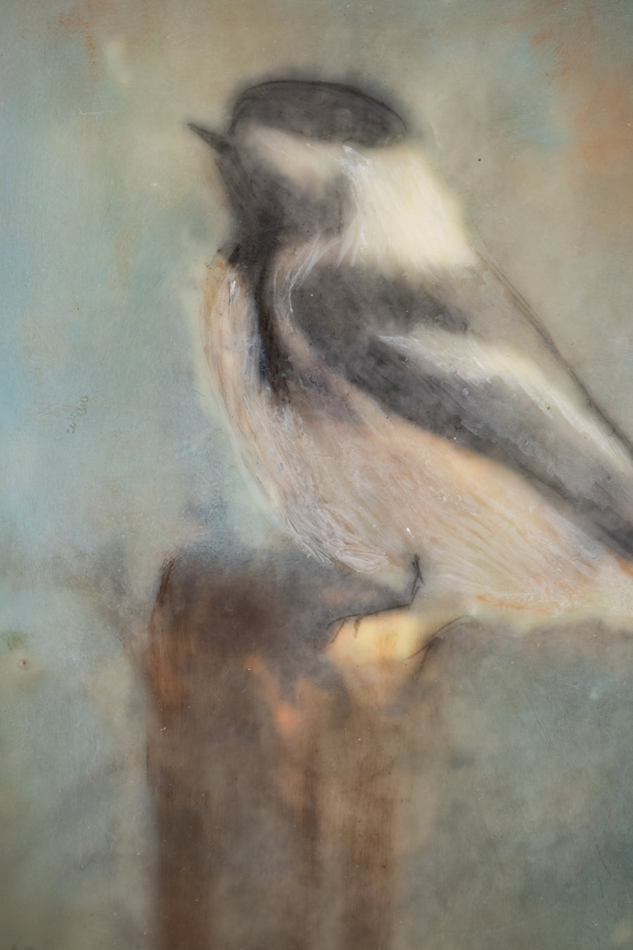 Chickadee | 6x8 Encaustic