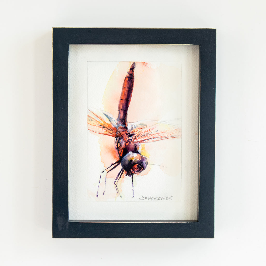 Red Dragonfly #1 | 7x9