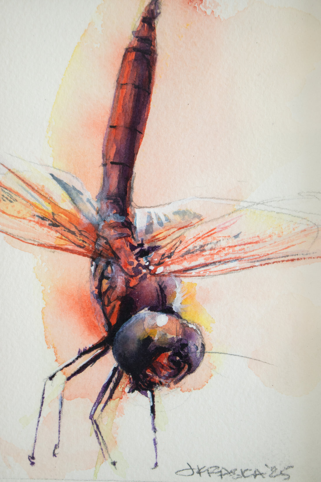 Red Dragonfly #1 | 7x9