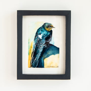 Barn Swallow | 7x9