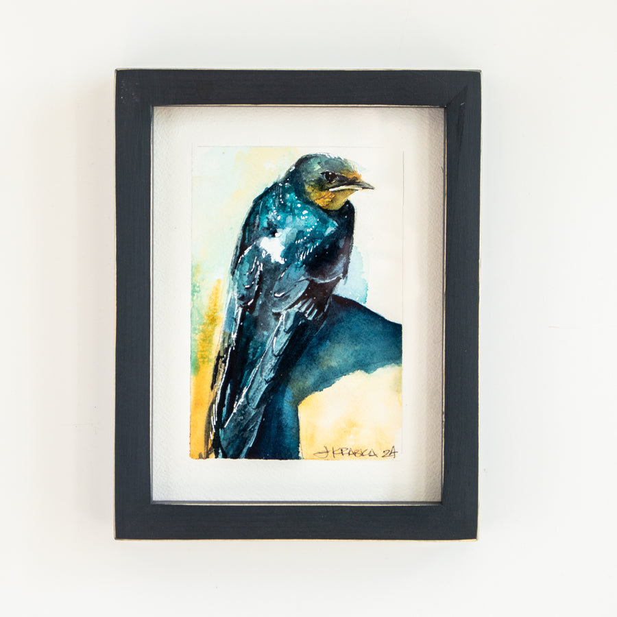 Barn Swallow | 7x9