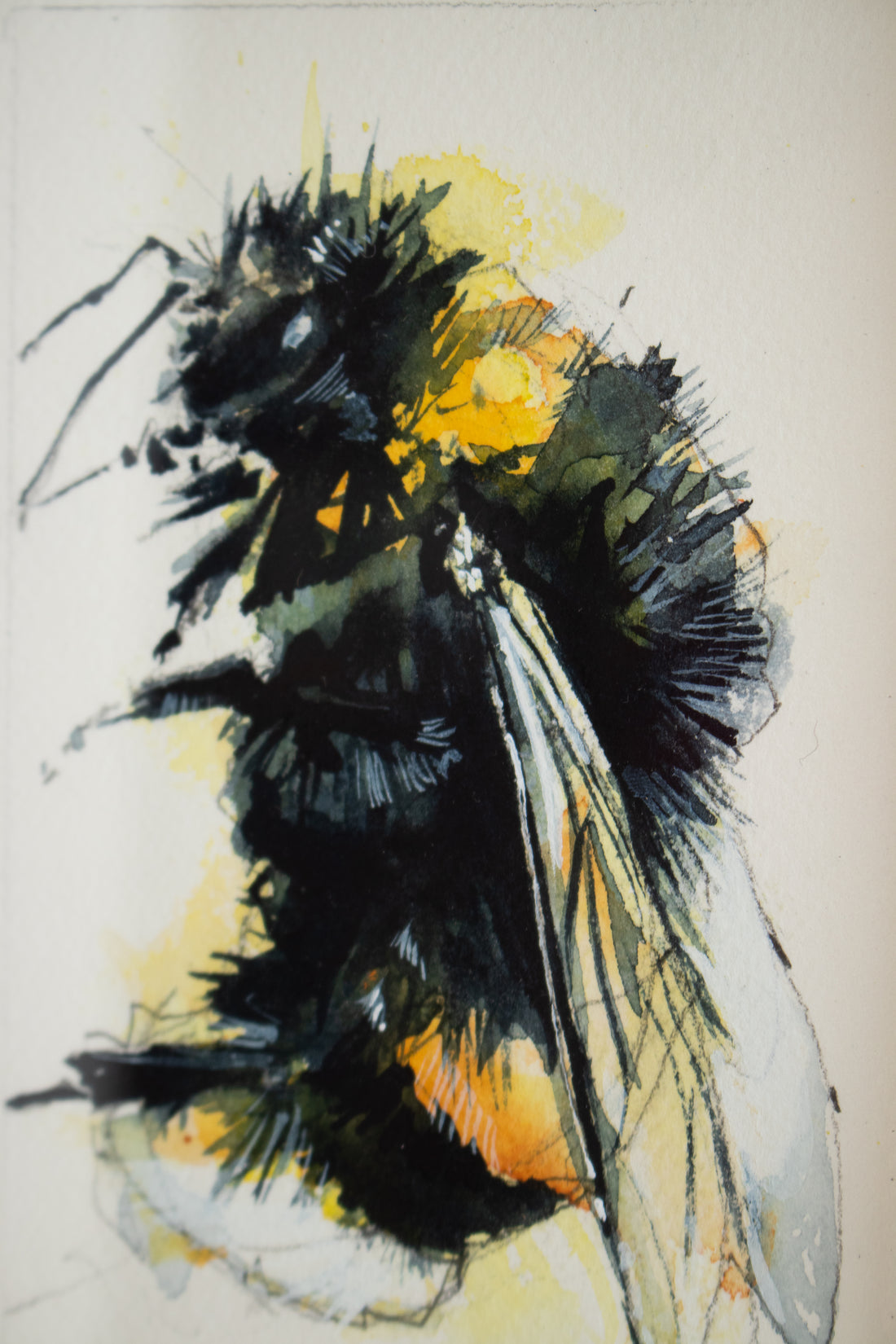 Bee #1 | 7x9