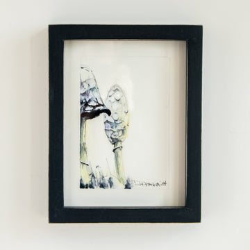 Lawyers Wig (Mushroom) no.1 | 7x9