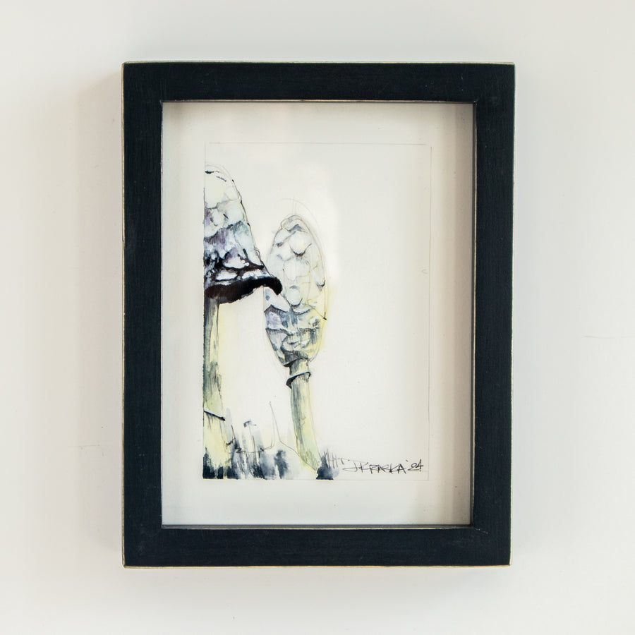 Lawyers Wig (Mushroom) no.1 | 7x9