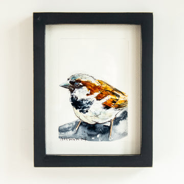 House Sparrow | 7x9