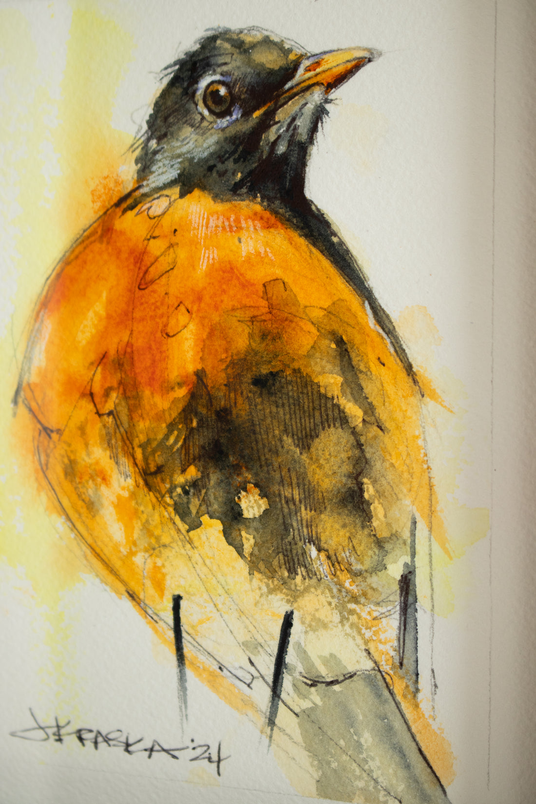 Robin no.4 | 7x9