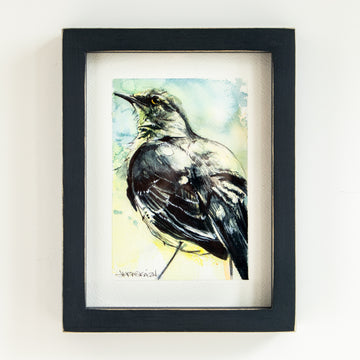 Northern Mocking Bird | 7x9