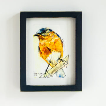 Eastern Bluebird | 7x9