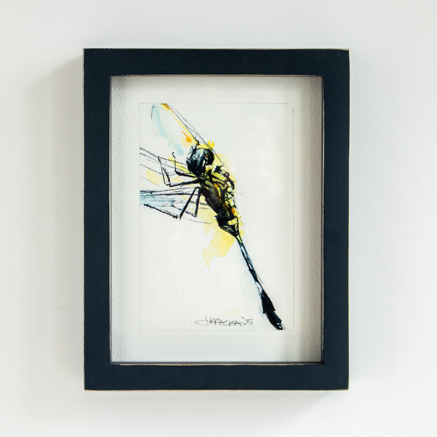 Yellow Dragonfly #1 | 7x9