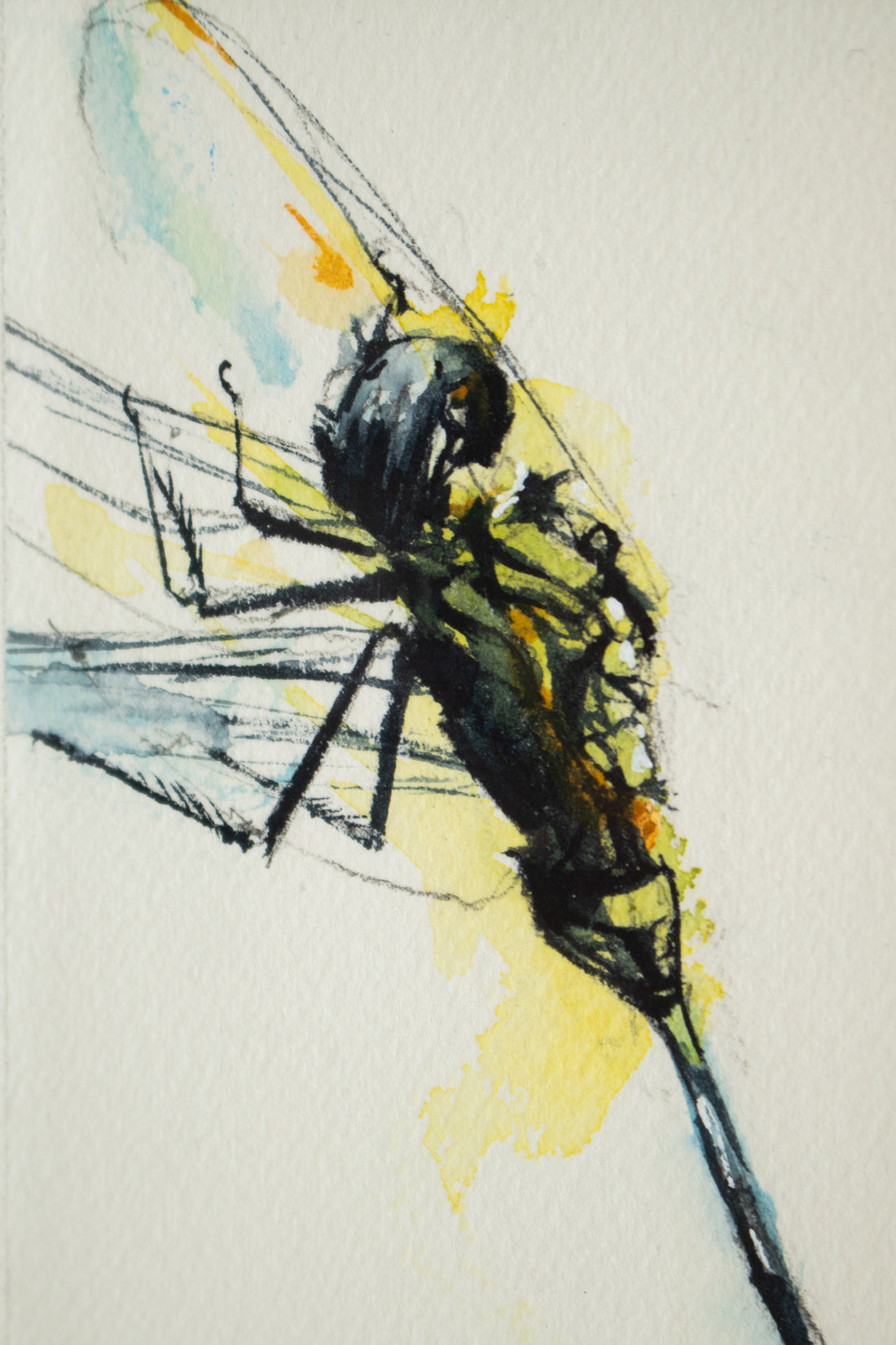Yellow Dragonfly #1 | 7x9