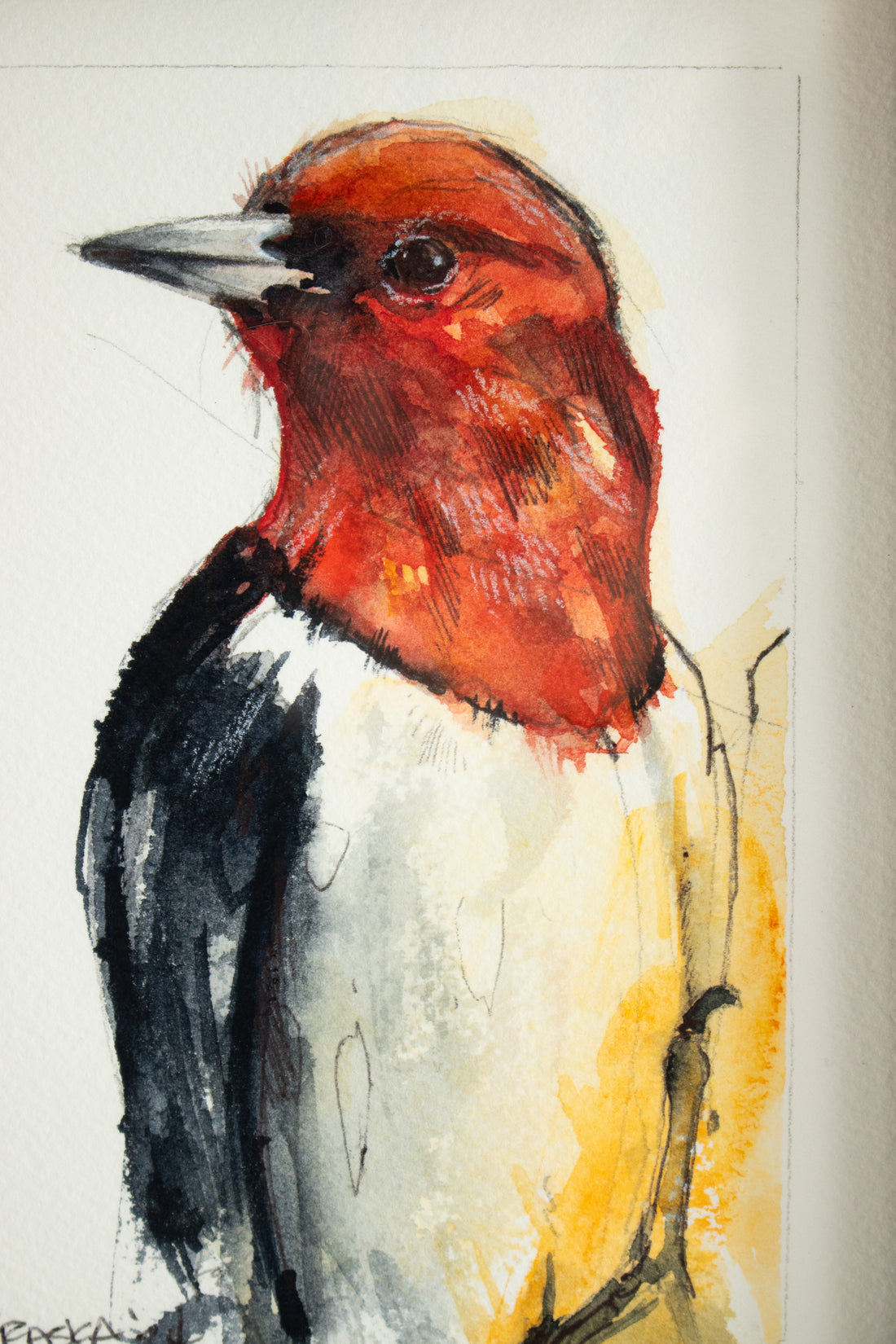 Red Headed Woodpecker | 7x9