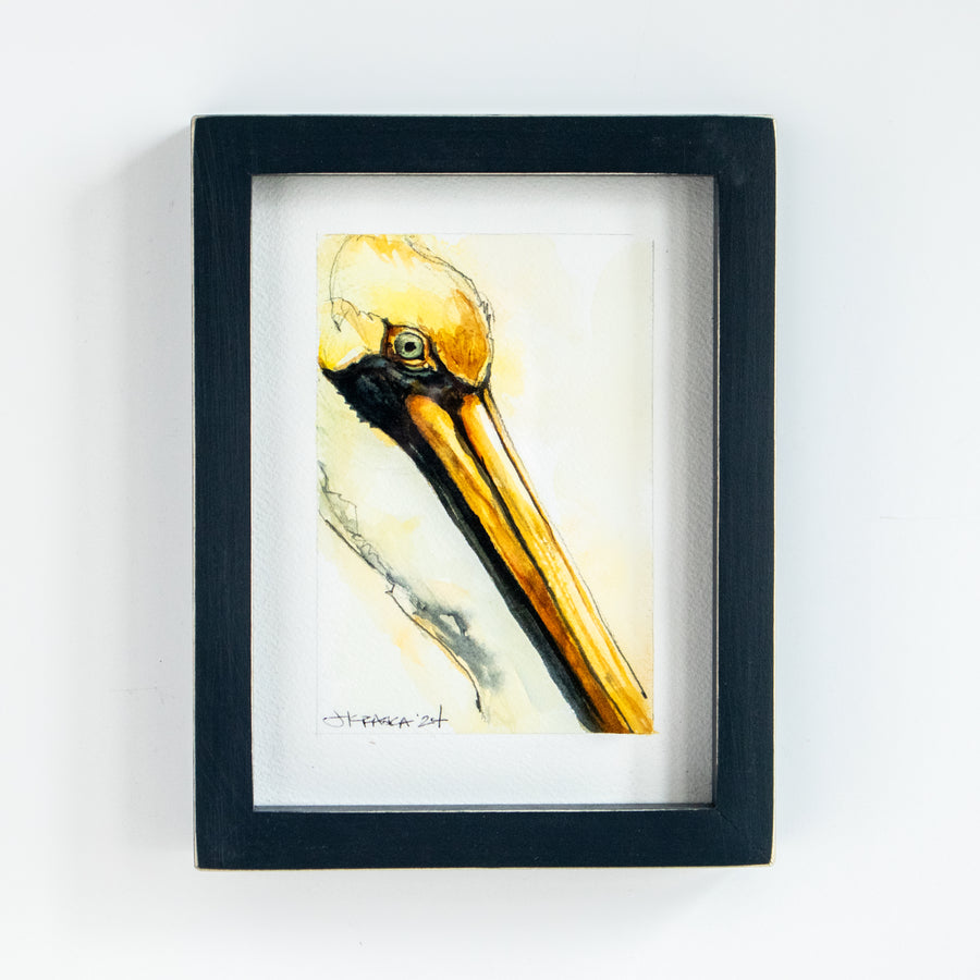 Brown Pelican | 7x9