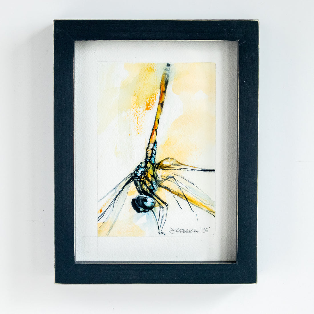Orange Dragonfly #1 | 7x9