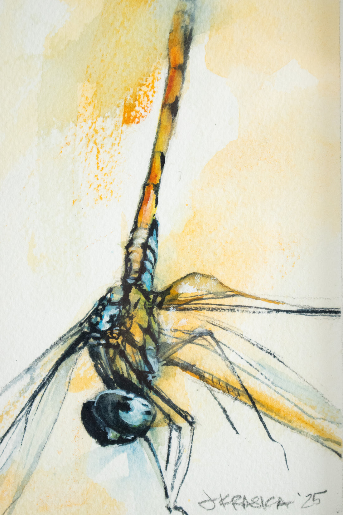 Orange Dragonfly #1 | 7x9