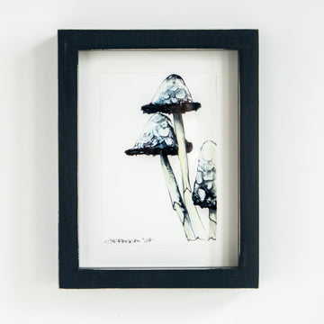 Lawyers Wig (Mushroom) no.2 | 7x9