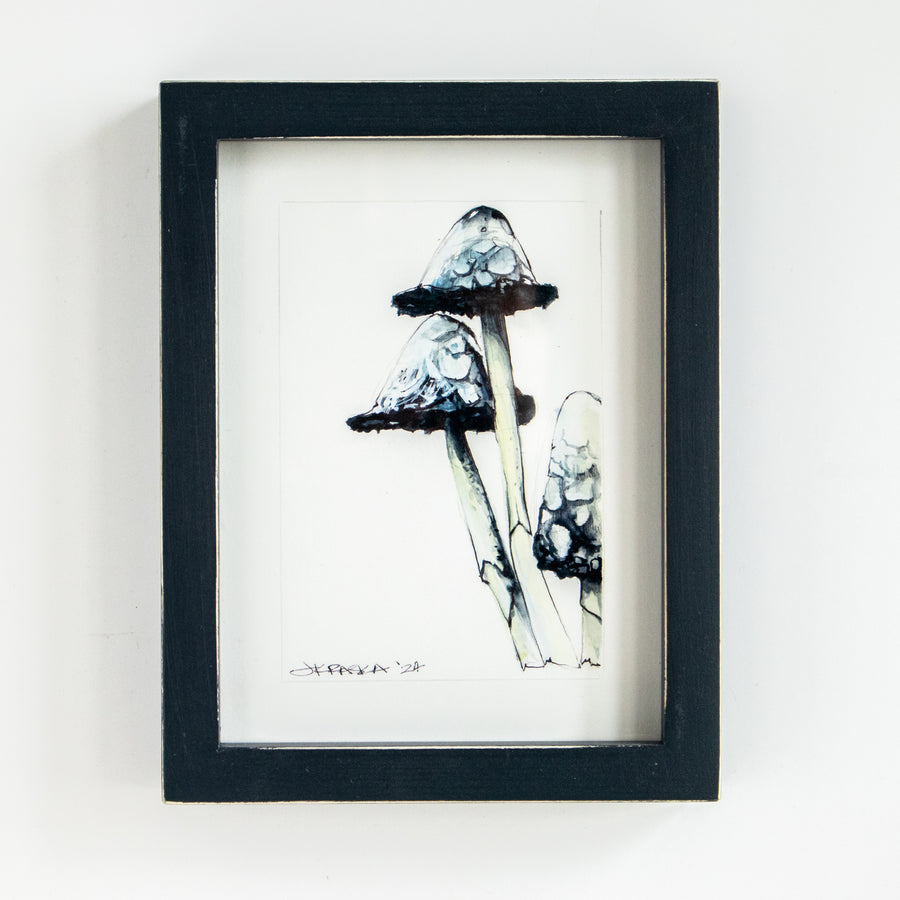 Lawyers Wig (Mushroom) no.2 | 7x9