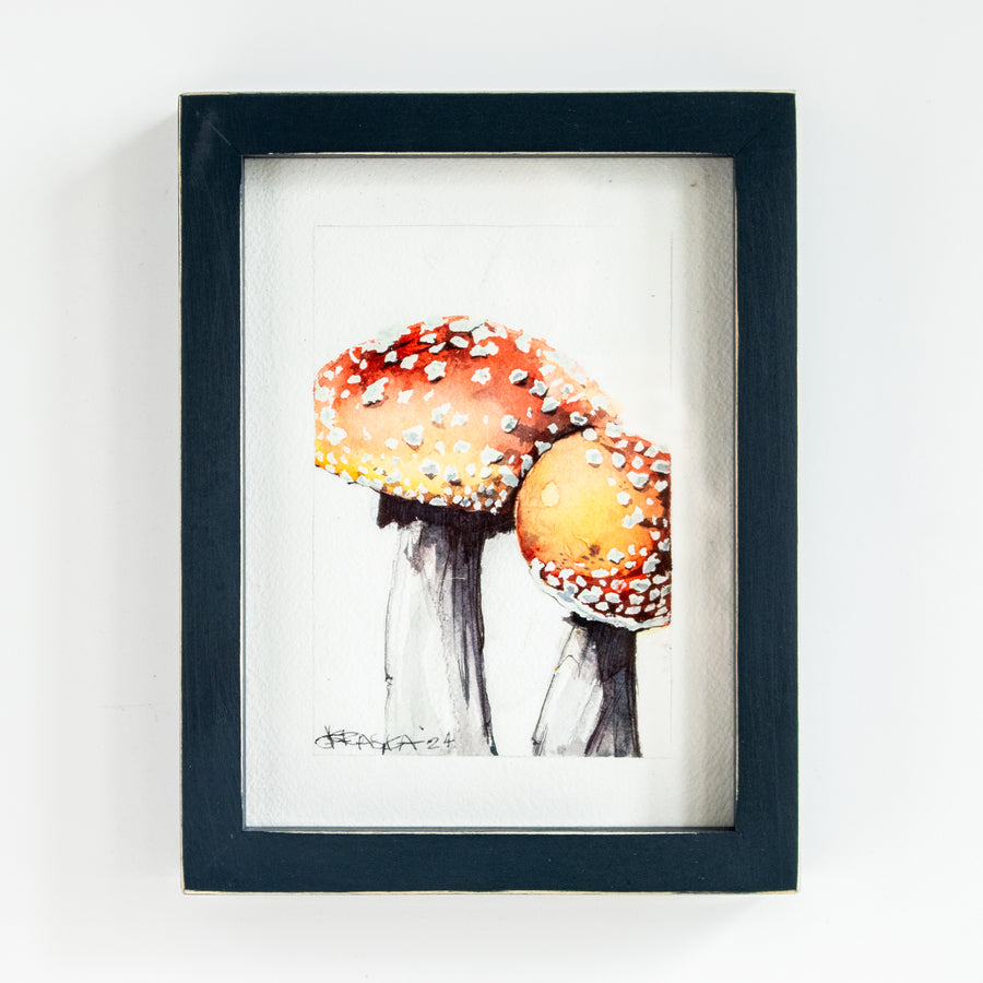 Amanita Muscaria (Mushroom) no.1 | 7x9