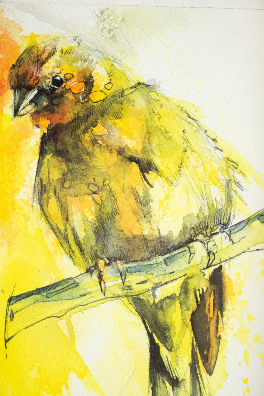 Yellow/Orange Bird on Branch | 7x9