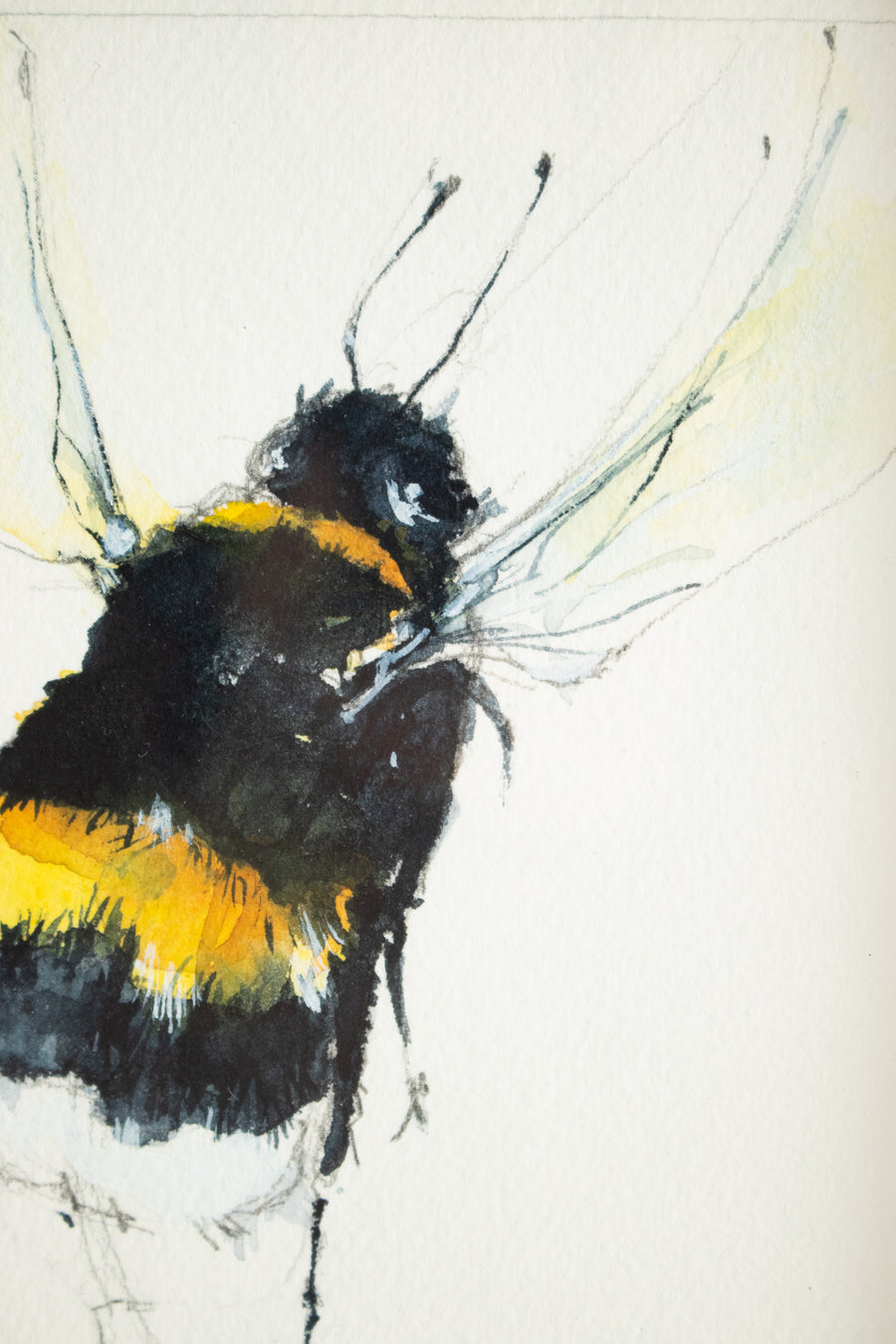 Bee #3 | 7x9