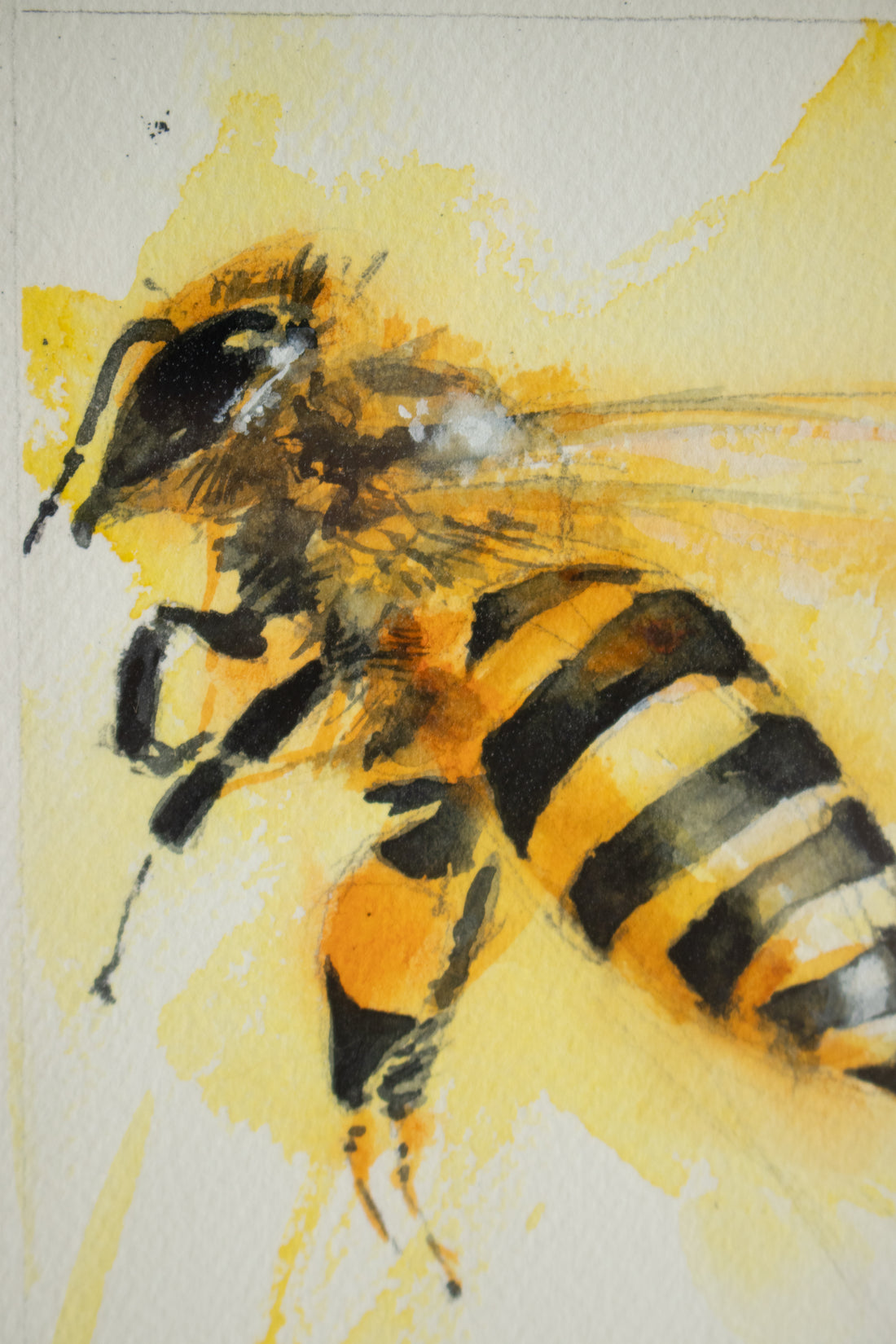 Honey Bee/Wasp | 7x9