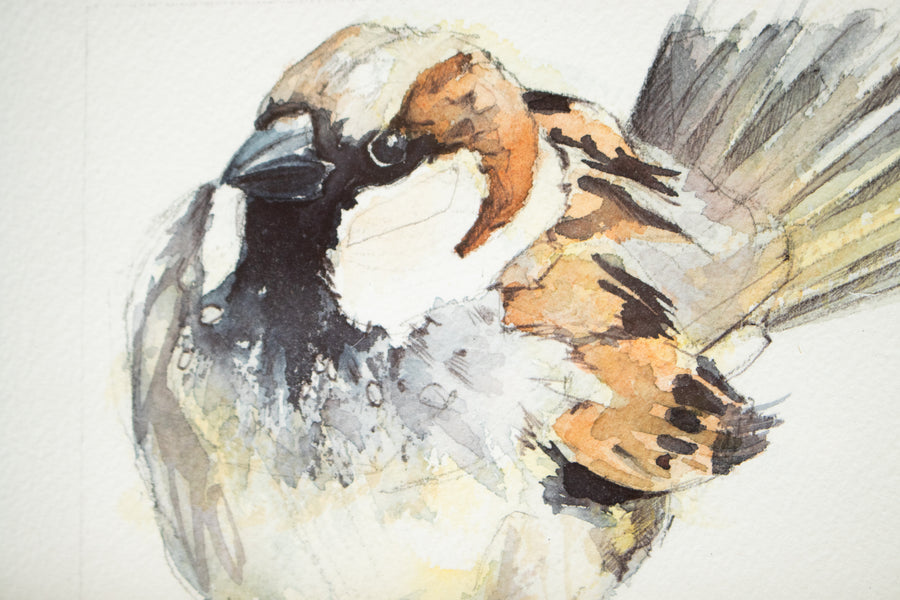 Sparrow Horizontal | 7x9
