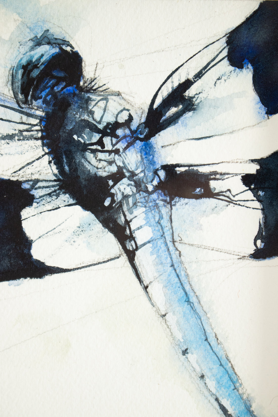 6x8 Blue Dragonfly #1 | 7x9