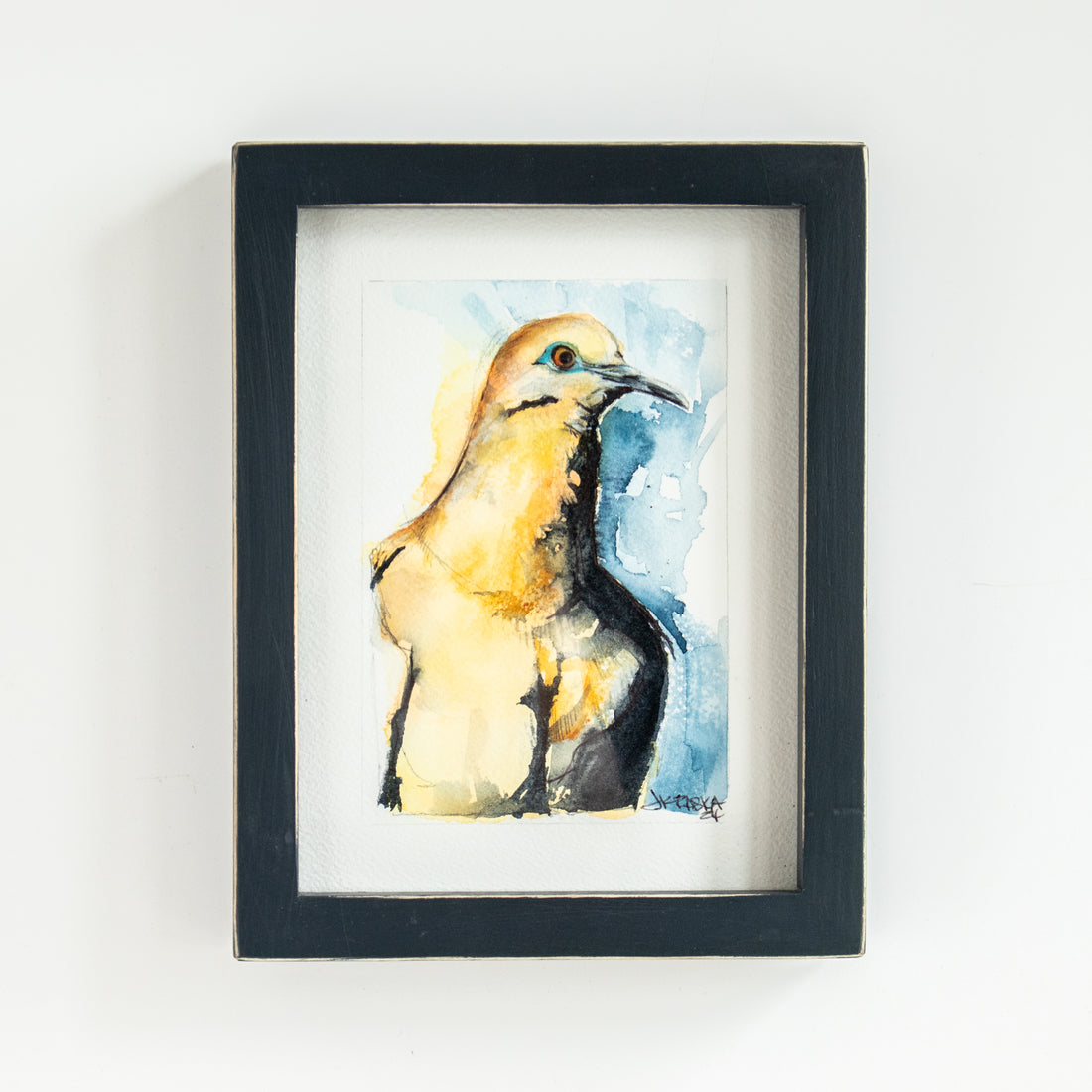 White Winged Dove | 7x9