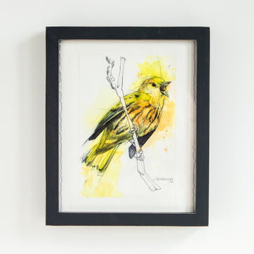 Yellow Bird Singing | 9x11