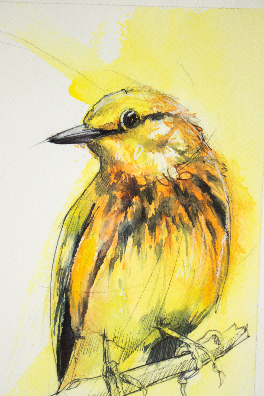 Yellow Bird Perched | 9x11