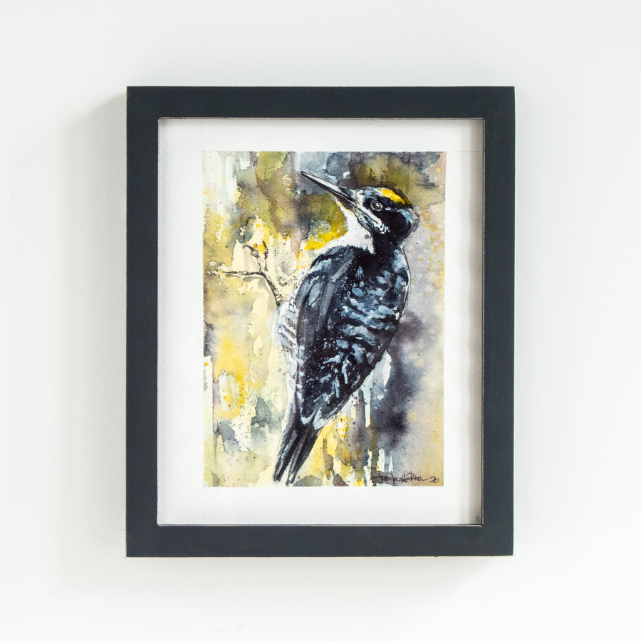 Black/Yellow Woodpecker | 9x11