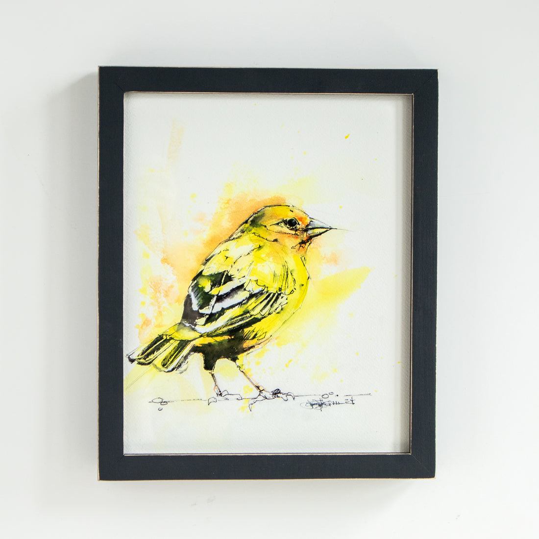 Yellow Warbler | 10x12