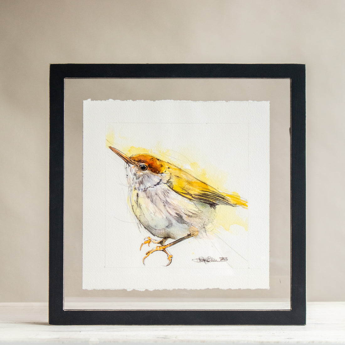 Wren Golden Watercolor | 12x12